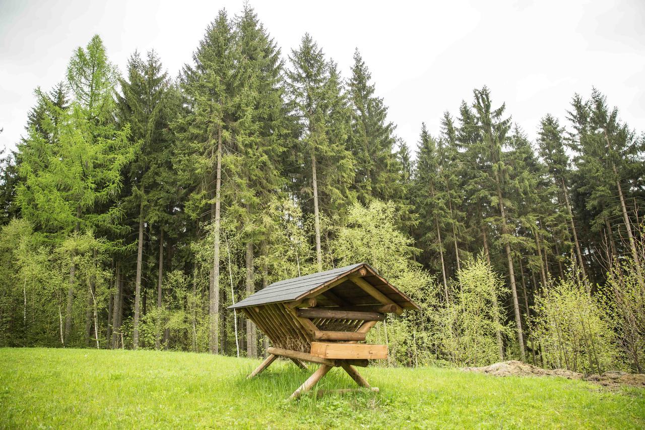 Chalet Harrachov Exterior photo